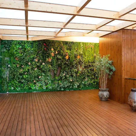 Cristal & ヴィエイラ・デ・レイリア